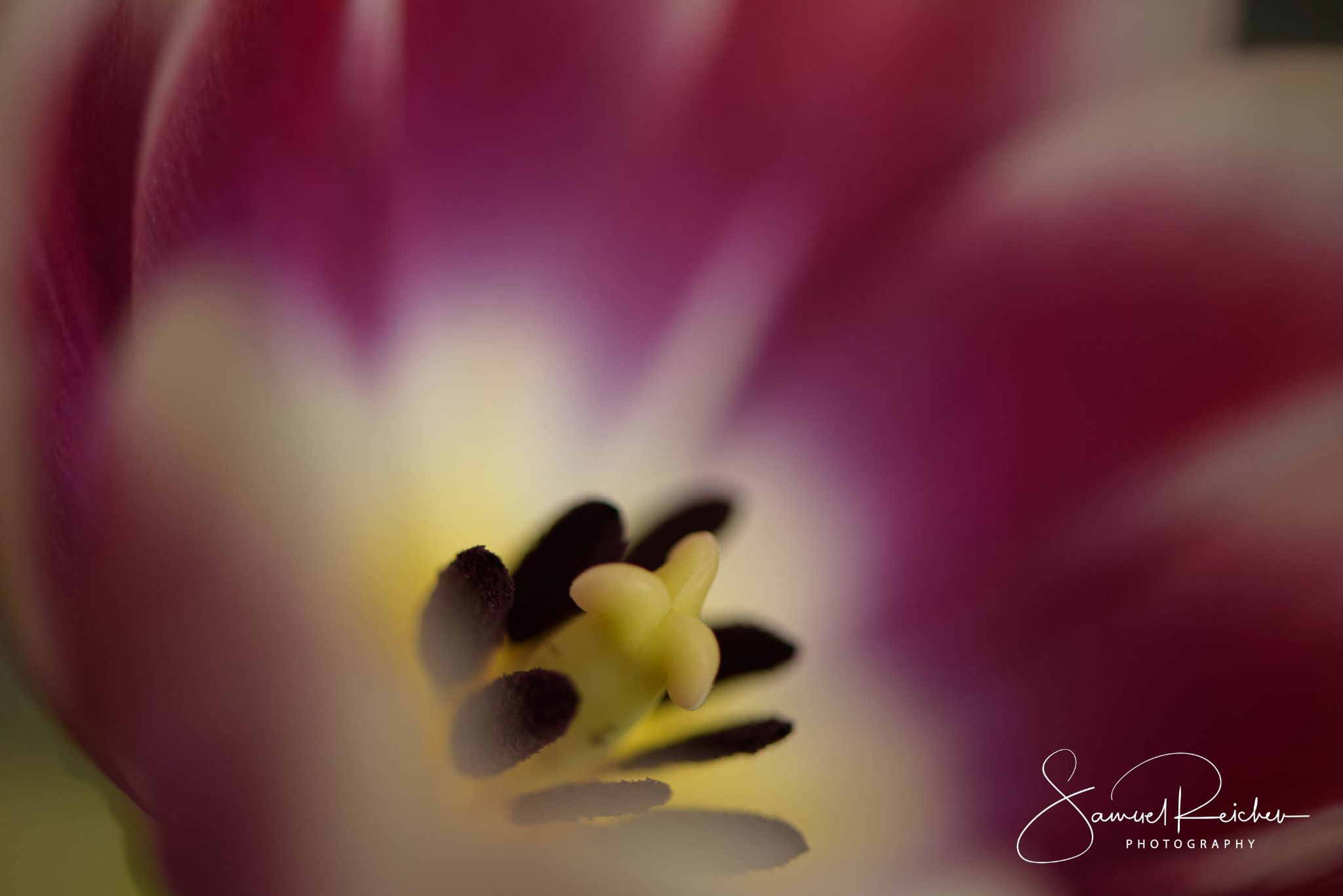Blumen