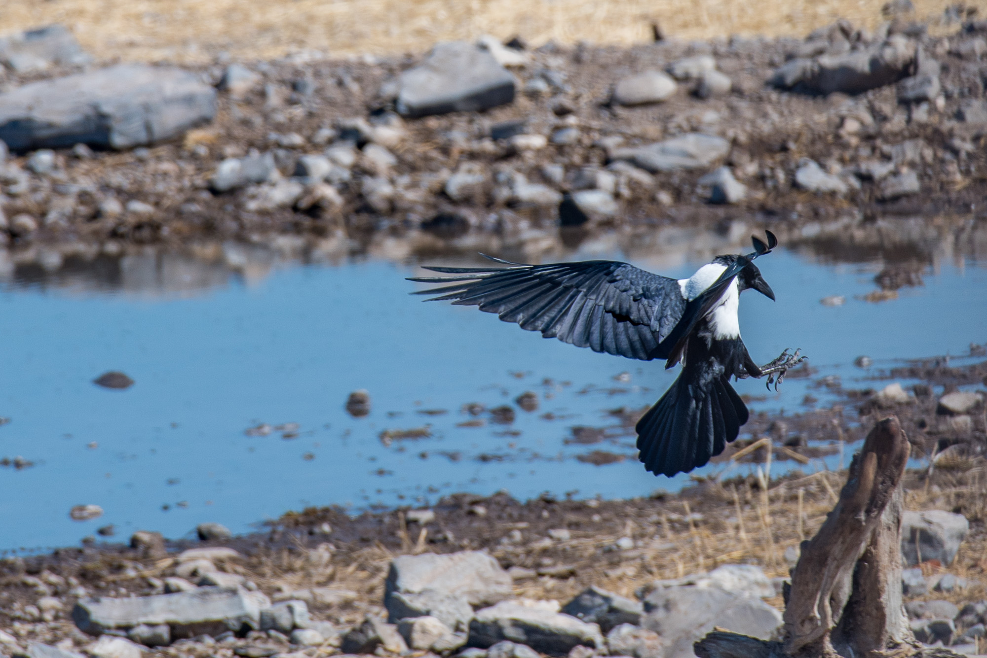 Namibia