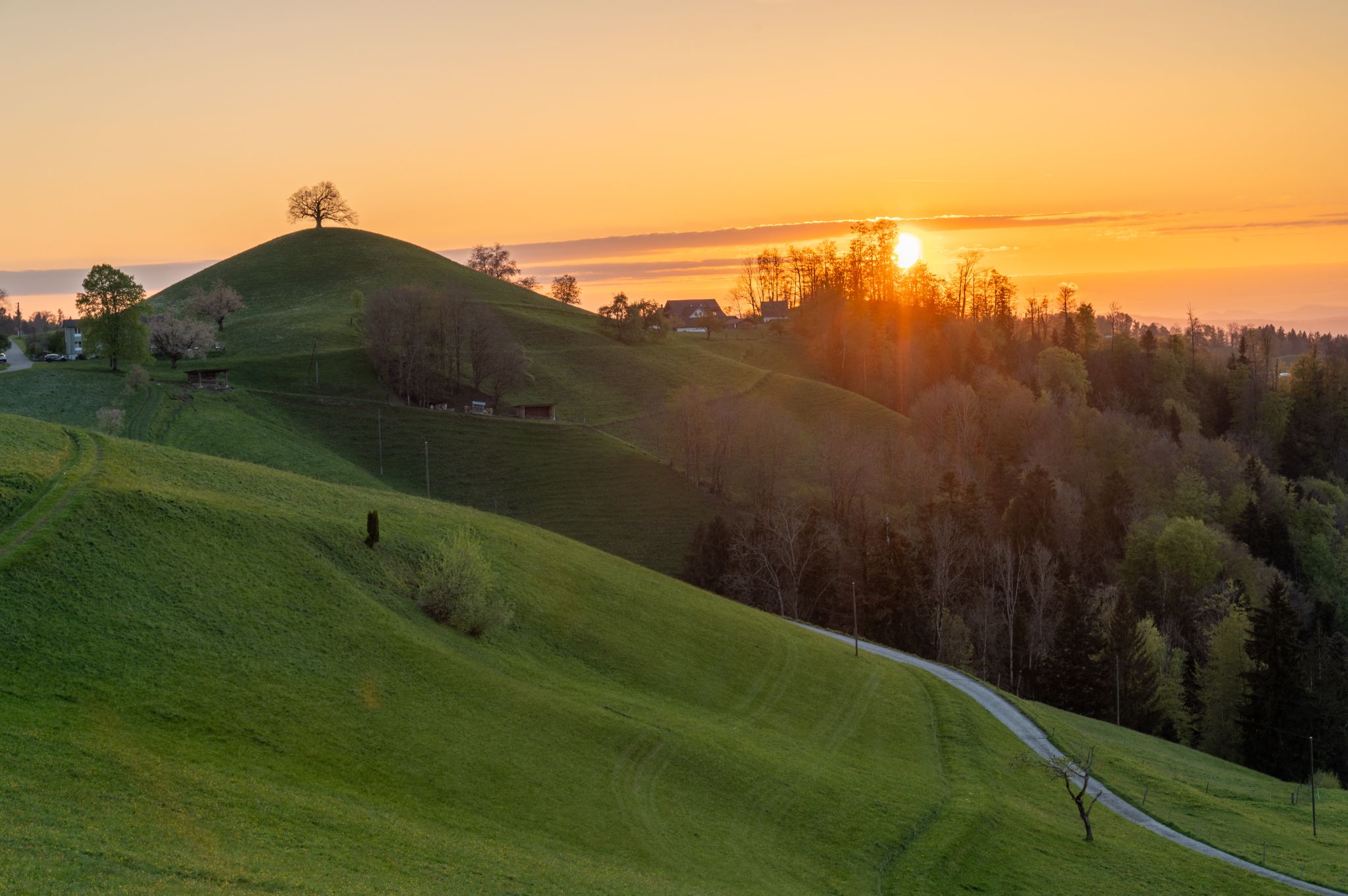 DSC 4379 HDR