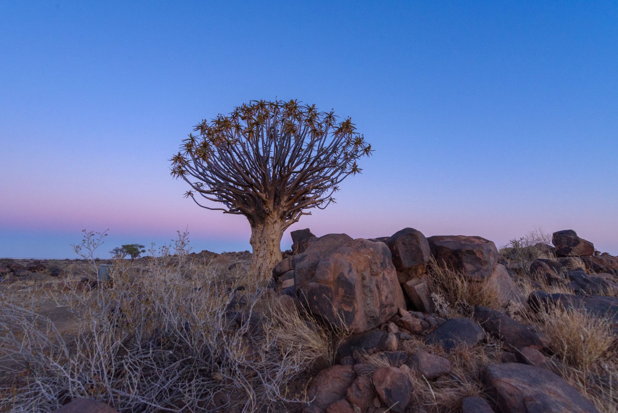 SRP 1707